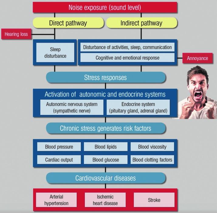 https://cdn.ncbi.nlm.nih.gov/pmc/blobs/faad/5898791/2a38c55ced4c/fig-1.jpg