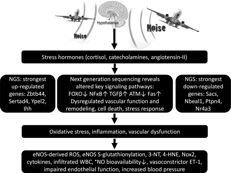 https://cdn.ncbi.nlm.nih.gov/pmc/blobs/faad/5898791/5579dcca1a6b/fig-16.jpg