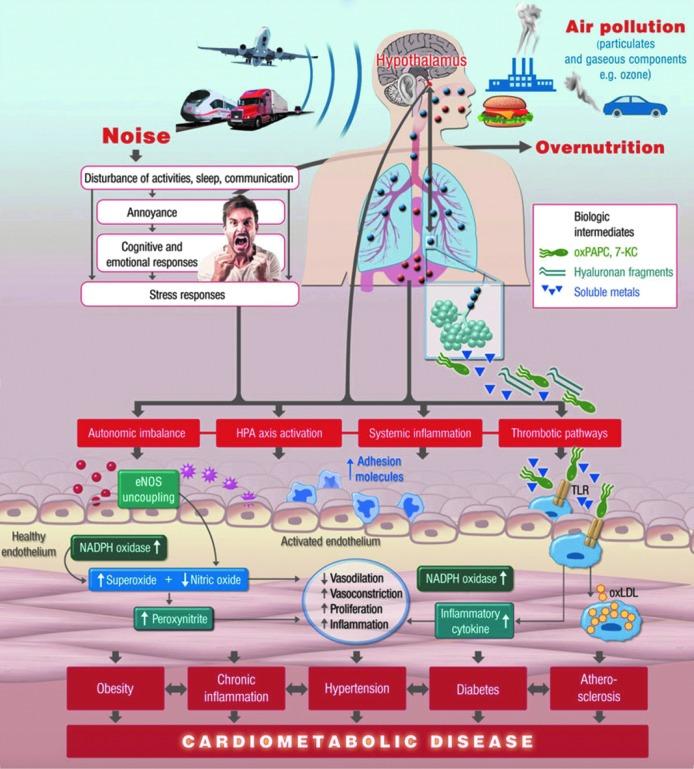 https://cdn.ncbi.nlm.nih.gov/pmc/blobs/faad/5898791/8d92d2183f83/fig-17.jpg