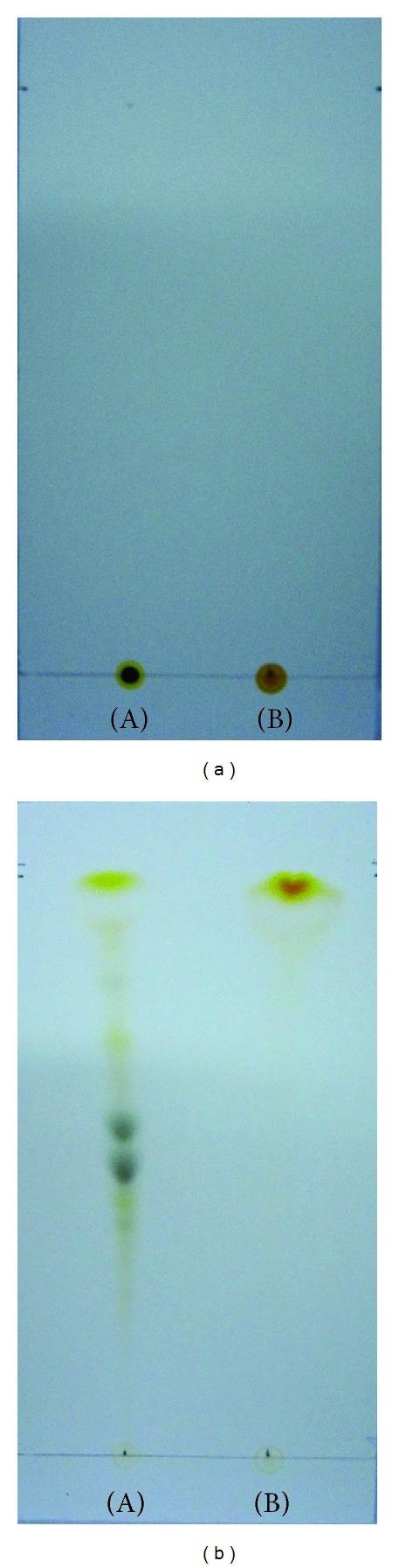 https://cdn.ncbi.nlm.nih.gov/pmc/blobs/faaf/3943251/54305dcbf9c7/BMRI2014-391542.005.jpg