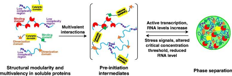 https://cdn.ncbi.nlm.nih.gov/pmc/blobs/faaf/4700675/4925b278b409/12964_2015_125_Fig2_HTML.jpg