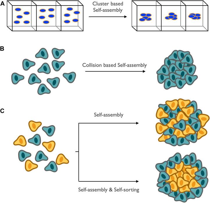 https://cdn.ncbi.nlm.nih.gov/pmc/blobs/faaf/8671936/2c16fc2ba133/fbioe-09-785937-g006.jpg