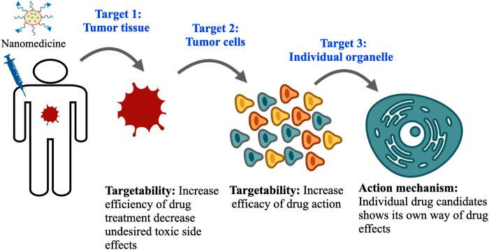 https://cdn.ncbi.nlm.nih.gov/pmc/blobs/faaf/8671936/31e22f26f830/fbioe-09-785937-g001.jpg