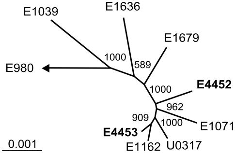 https://cdn.ncbi.nlm.nih.gov/pmc/blobs/fab1/3281830/225100f1617d/pone.0030319.g001.jpg