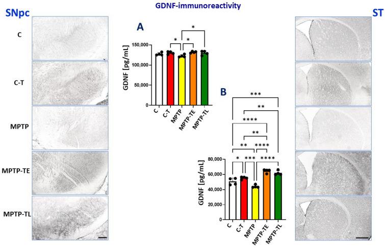 https://cdn.ncbi.nlm.nih.gov/pmc/blobs/fab2/11818830/4c0fe65b53c4/ijms-26-01146-g004.jpg