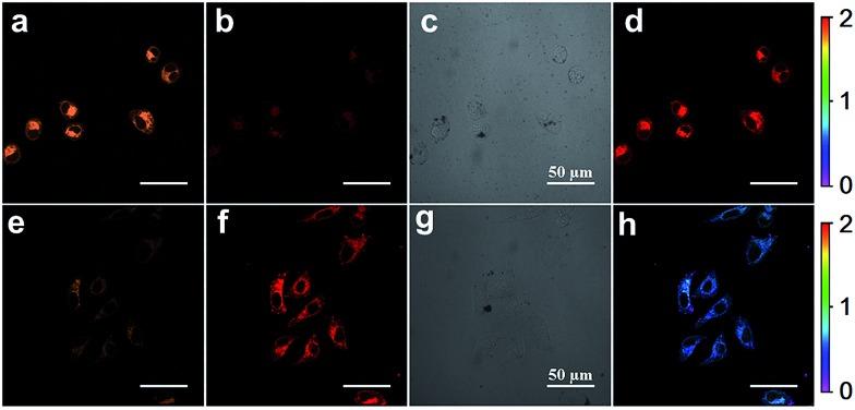 https://cdn.ncbi.nlm.nih.gov/pmc/blobs/fab2/5812429/239e7cae0b12/c5sc00216h-f5.jpg