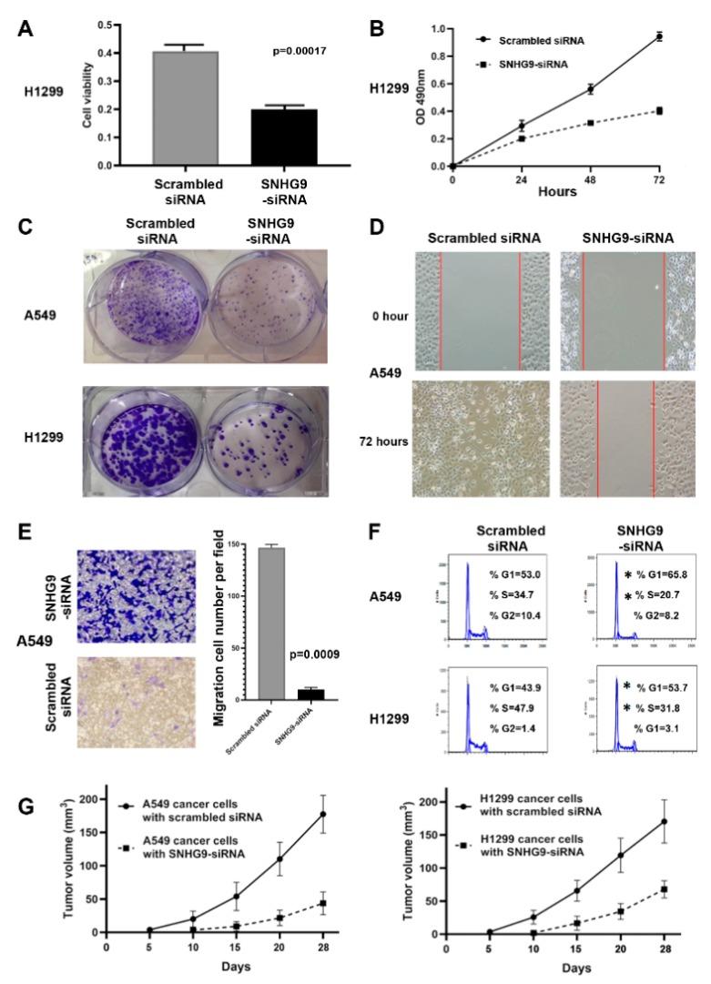 https://cdn.ncbi.nlm.nih.gov/pmc/blobs/fab2/7235744/133c1cfc528b/biomedicines-08-00088-g001.jpg