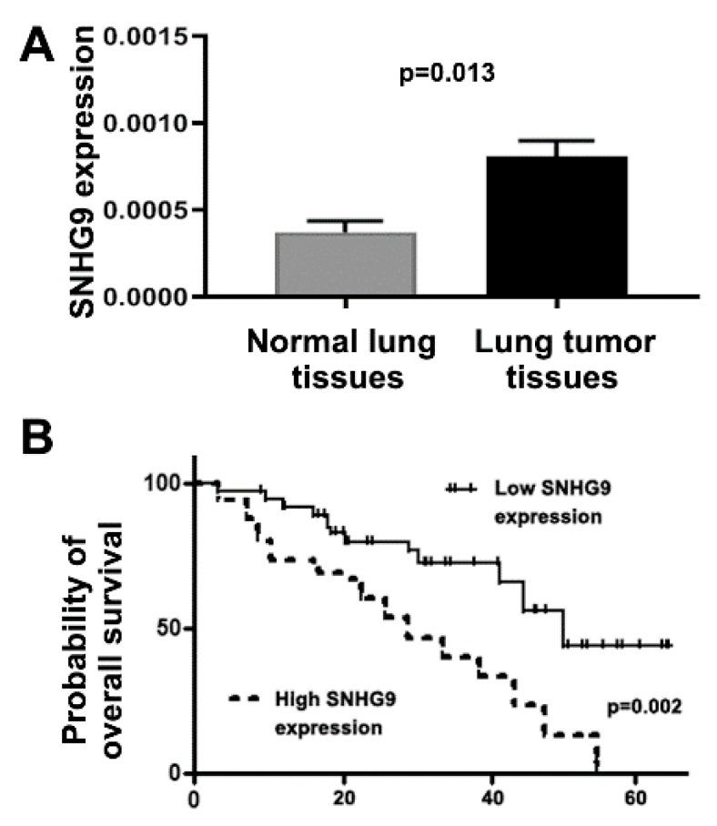 https://cdn.ncbi.nlm.nih.gov/pmc/blobs/fab2/7235744/4f88d2aa3577/biomedicines-08-00088-g002.jpg