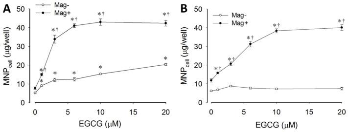 https://cdn.ncbi.nlm.nih.gov/pmc/blobs/fab5/9330565/a14da22fd341/pharmaceutics-14-01523-g001.jpg