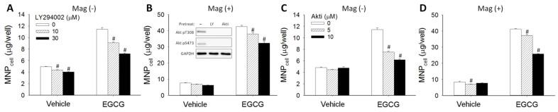 https://cdn.ncbi.nlm.nih.gov/pmc/blobs/fab5/9330565/a4e6f9c9617f/pharmaceutics-14-01523-g005.jpg