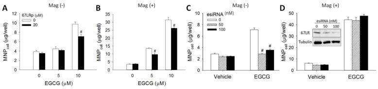 https://cdn.ncbi.nlm.nih.gov/pmc/blobs/fab5/9330565/d149baa1d822/pharmaceutics-14-01523-g004.jpg