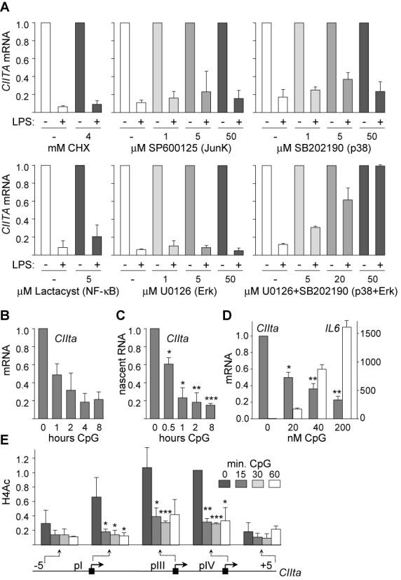 https://cdn.ncbi.nlm.nih.gov/pmc/blobs/fab7/4150779/6505d28ab024/gku674fig2.jpg