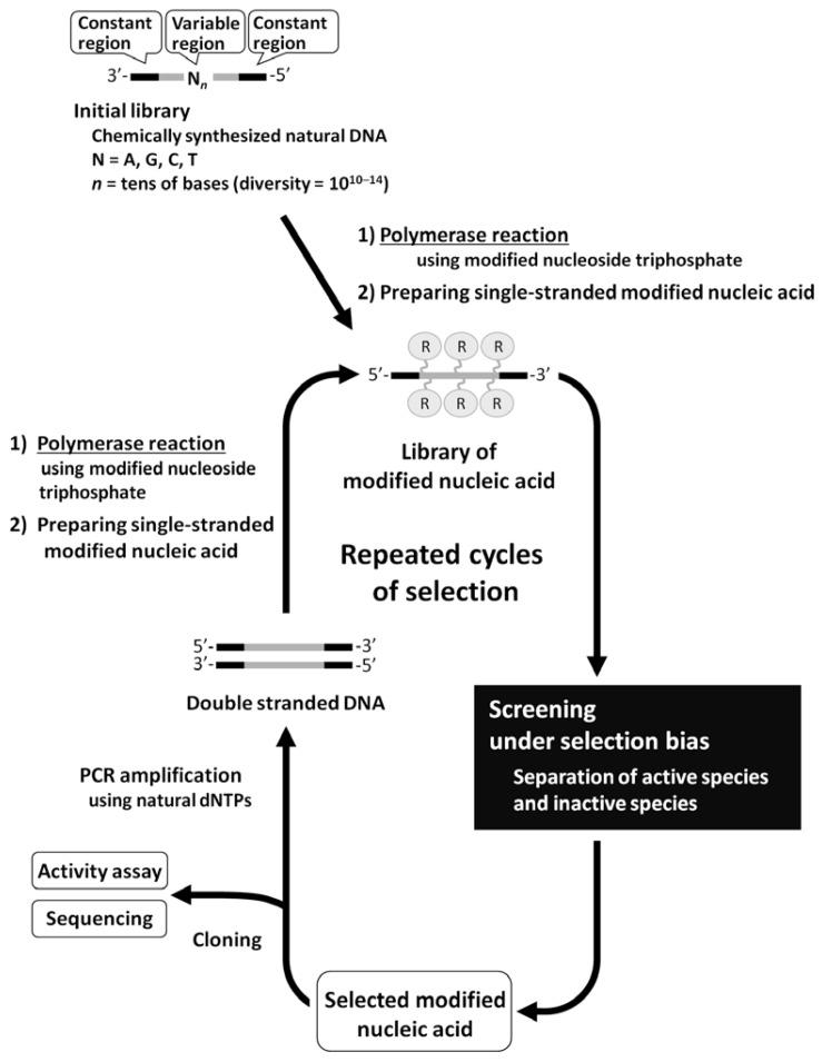 https://cdn.ncbi.nlm.nih.gov/pmc/blobs/fab7/6257756/4892c1857ae2/molecules-15-05423-g001.jpg