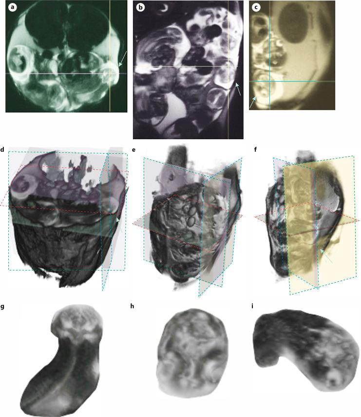 https://cdn.ncbi.nlm.nih.gov/pmc/blobs/fab8/11809522/228d60a94cf0/dne-2025-0047-0001-539212_F01.jpg