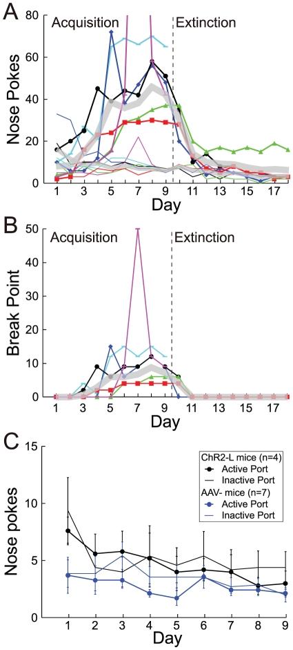 https://cdn.ncbi.nlm.nih.gov/pmc/blobs/fab8/3323614/356af8be8ce1/pone.0033612.g002.jpg