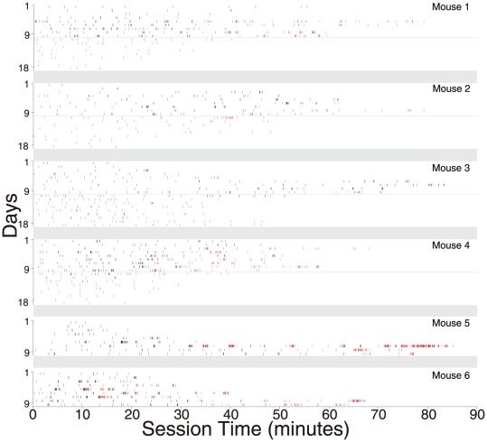 https://cdn.ncbi.nlm.nih.gov/pmc/blobs/fab8/3323614/972ff586e5b9/pone.0033612.g003.jpg