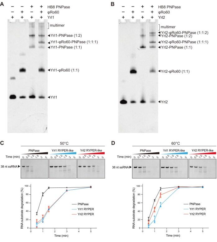 https://cdn.ncbi.nlm.nih.gov/pmc/blobs/fabc/12135203/e411c868f83f/gkaf470fig7.jpg