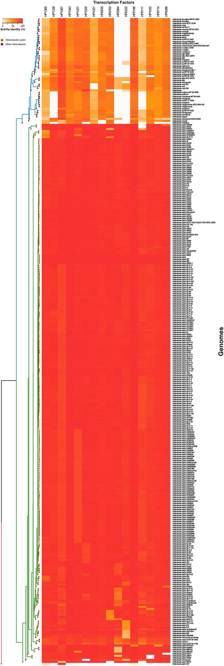 https://cdn.ncbi.nlm.nih.gov/pmc/blobs/fabe/5385360/2b7e401195db/fmicb-08-00615-g005.jpg