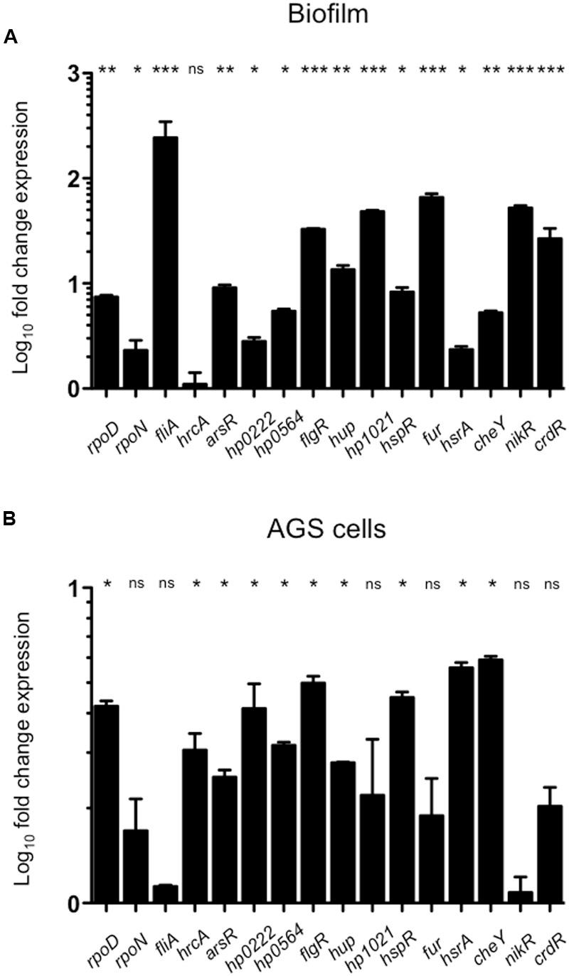 https://cdn.ncbi.nlm.nih.gov/pmc/blobs/fabe/5385360/65d9e92f3808/fmicb-08-00615-g002.jpg