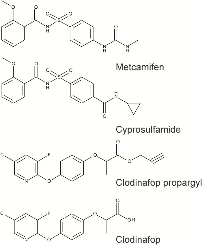 https://cdn.ncbi.nlm.nih.gov/pmc/blobs/fabe/6913702/0bdfd8aff824/erz438f0001.jpg