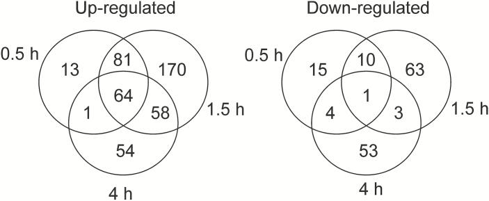 https://cdn.ncbi.nlm.nih.gov/pmc/blobs/fabe/6913702/739c411b3f6f/erz438f0005.jpg