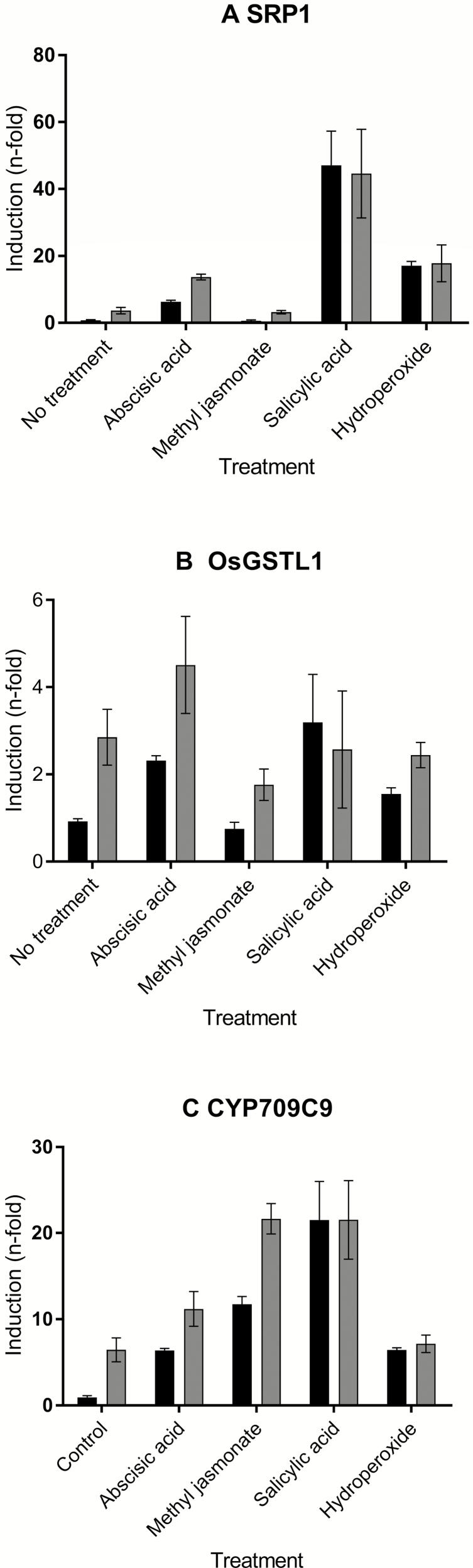 https://cdn.ncbi.nlm.nih.gov/pmc/blobs/fabe/6913702/9c4d646a0c85/erz438f0007.jpg