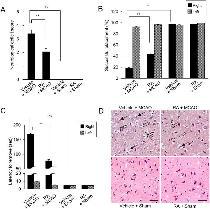 https://cdn.ncbi.nlm.nih.gov/pmc/blobs/fac0/9523306/4441e16e5098/jvms-84-1194-g001.jpg