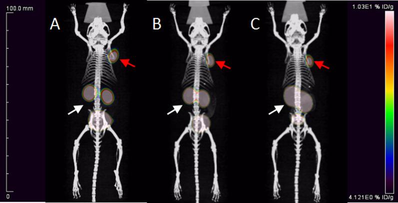 https://cdn.ncbi.nlm.nih.gov/pmc/blobs/fac4/10850047/134e036e7f44/13550_2024_1071_Fig8_HTML.jpg