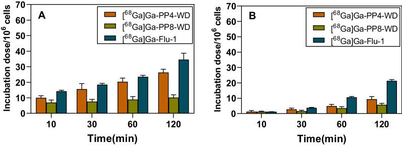 https://cdn.ncbi.nlm.nih.gov/pmc/blobs/fac4/10850047/63be619b959c/13550_2024_1071_Fig5_HTML.jpg