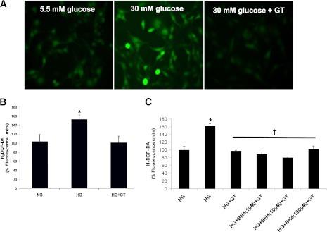 https://cdn.ncbi.nlm.nih.gov/pmc/blobs/fac7/3379677/01c5f41b8602/1838fig7.jpg