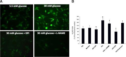 https://cdn.ncbi.nlm.nih.gov/pmc/blobs/fac7/3379677/5ecc8780f10f/1838fig4.jpg