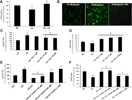 https://cdn.ncbi.nlm.nih.gov/pmc/blobs/fac7/3379677/d860919f7c3f/1838fig6.jpg
