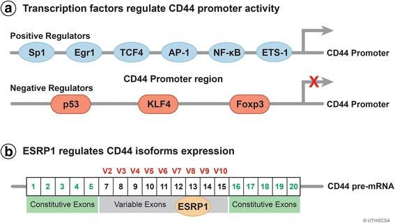 https://cdn.ncbi.nlm.nih.gov/pmc/blobs/fac8/5946470/ee99b1d6d906/13045_2018_605_Fig2_HTML.jpg