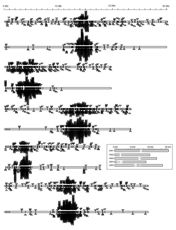 https://cdn.ncbi.nlm.nih.gov/pmc/blobs/fac9/545598/aad0cc041d46/gb-2004-5-10-r78-4.jpg