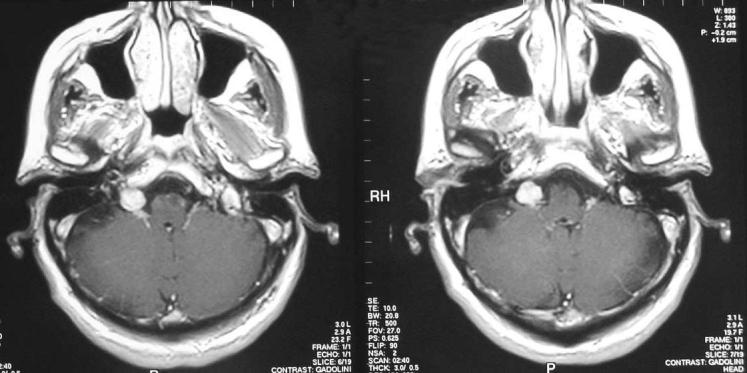 https://cdn.ncbi.nlm.nih.gov/pmc/blobs/facb/2780609/d3b6d78397c6/11739_2007_Article_6_Fig1.jpg
