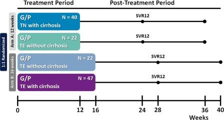 https://cdn.ncbi.nlm.nih.gov/pmc/blobs/facb/5817409/fa503f657d4d/HEP-67-514-g001.jpg