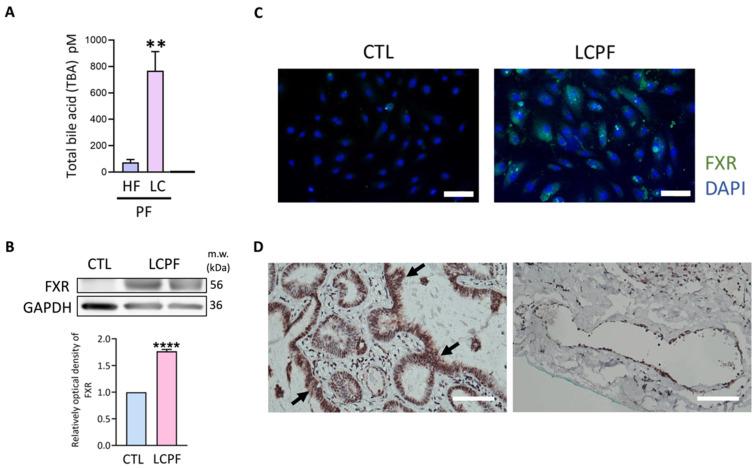 https://cdn.ncbi.nlm.nih.gov/pmc/blobs/facb/9179389/44e03320edcc/cancers-14-02765-g001.jpg
