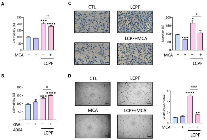 https://cdn.ncbi.nlm.nih.gov/pmc/blobs/facb/9179389/8990a097790c/cancers-14-02765-g003.jpg