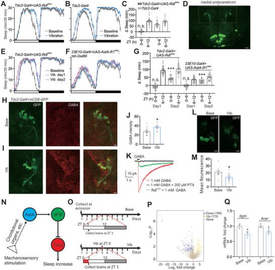 https://cdn.ncbi.nlm.nih.gov/pmc/blobs/facc/11791986/75c5310dd583/ADVS-12-2411768-g005.jpg