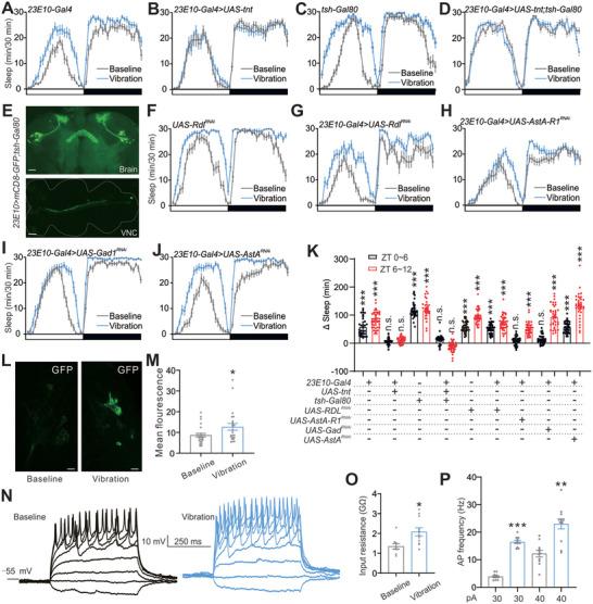 https://cdn.ncbi.nlm.nih.gov/pmc/blobs/facc/11791986/9633ade23ea1/ADVS-12-2411768-g007.jpg