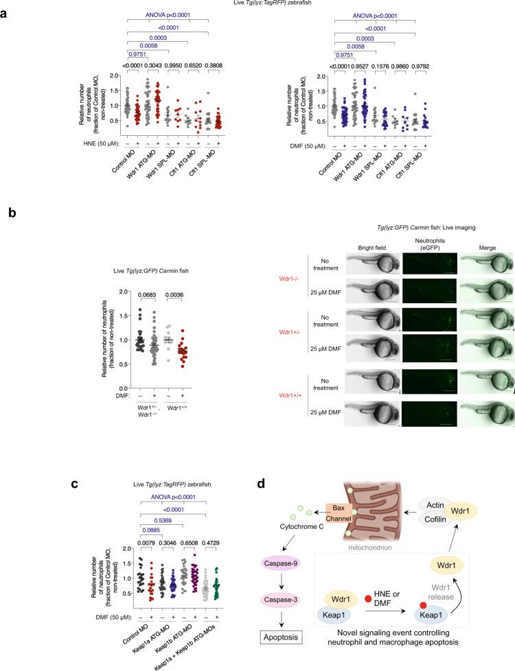 https://cdn.ncbi.nlm.nih.gov/pmc/blobs/facc/8484674/460164183ca3/41467_2021_25466_Fig5_HTML.jpg