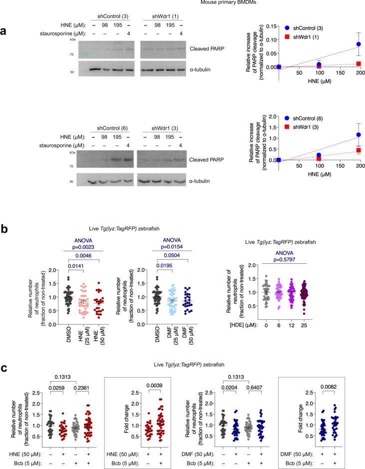 https://cdn.ncbi.nlm.nih.gov/pmc/blobs/facc/8484674/fd2ed3a298a9/41467_2021_25466_Fig4_HTML.jpg