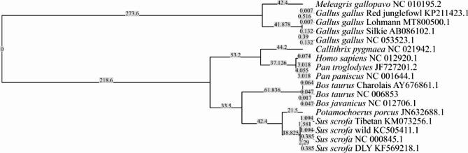 https://cdn.ncbi.nlm.nih.gov/pmc/blobs/face/11874851/48830e067be9/42523_2025_379_Fig1_HTML.jpg