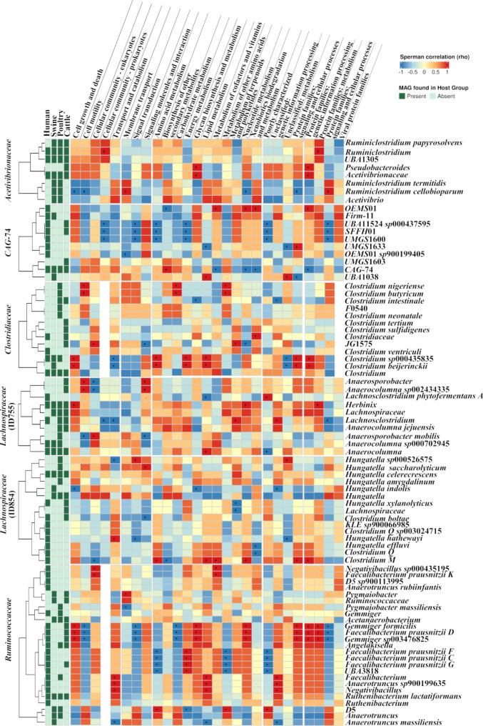 https://cdn.ncbi.nlm.nih.gov/pmc/blobs/face/11874851/8b4bd20e491e/42523_2025_379_Fig7_HTML.jpg