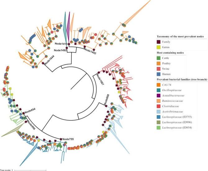 https://cdn.ncbi.nlm.nih.gov/pmc/blobs/face/11874851/8d6c0f59bf2b/42523_2025_379_Fig5_HTML.jpg