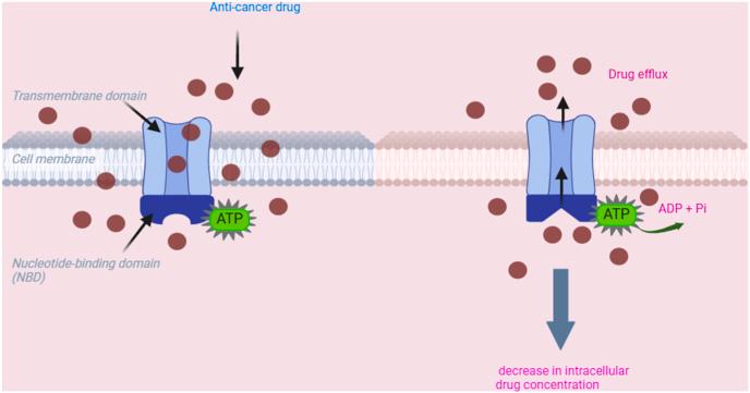https://cdn.ncbi.nlm.nih.gov/pmc/blobs/facf/11543557/b48bd0ff27ff/gr2.jpg