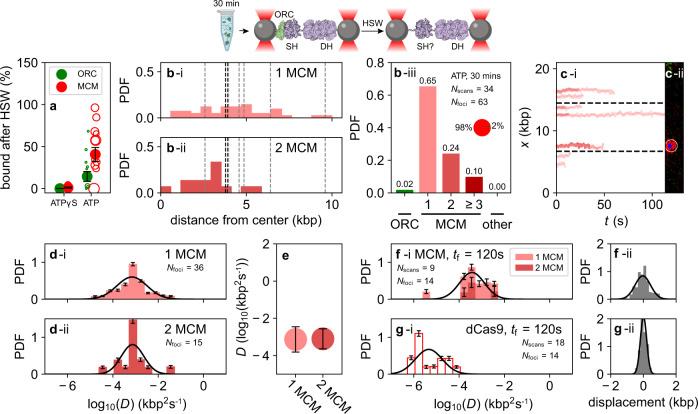 https://cdn.ncbi.nlm.nih.gov/pmc/blobs/facf/7998030/6ae2dc263e5d/41467_2021_22216_Fig4_HTML.jpg