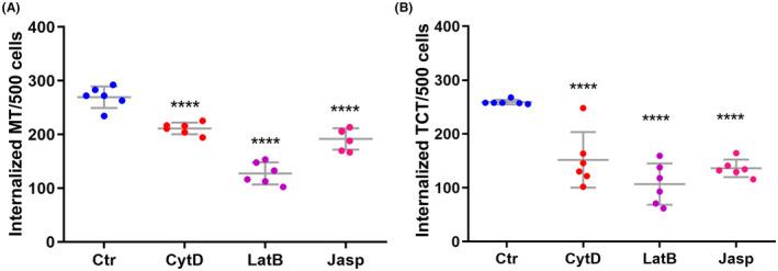 https://cdn.ncbi.nlm.nih.gov/pmc/blobs/fad0/9314811/5dc578b7f668/JEU-69-0-g003.jpg