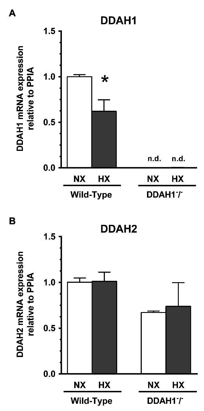 https://cdn.ncbi.nlm.nih.gov/pmc/blobs/fad1/7689360/2c4d24de96cc/fphys-11-597559-g003.jpg