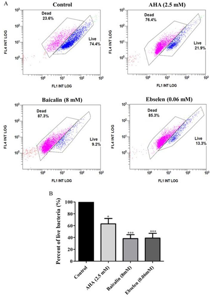 https://cdn.ncbi.nlm.nih.gov/pmc/blobs/fad2/11604635/b4348f3cdd96/fmicb-15-1464484-g0005.jpg